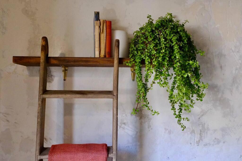 The Little House In Neve Tzedek Διαμέρισμα Τελ Αβίβ Εξωτερικό φωτογραφία